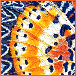 Butterfly Needlepoint Tapestry Printed Canvas