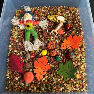 May include: A clear plastic bin filled with a sensory mix of dried corn kernels, brown rice, and split peas. The bin contains a small scarecrow figurine, felt oak leaves in red, orange, and green, miniature pumpkins, acorns, and a wooden scoop.
