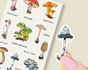 MUSHROOM Stickers Pieces Great for Journals Collage Scrapbooks Vintage Forest Aesthetic Sticker Nature Stickers Fungi Botanicals Stickers