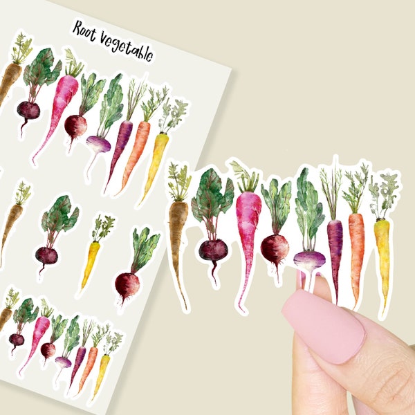 Vegetable Stickers Veggies Stickers Vinyl Sticker Journal Stickers Root Vegetables Rainbow Carrots Beat Sticker Vegetables lover gift