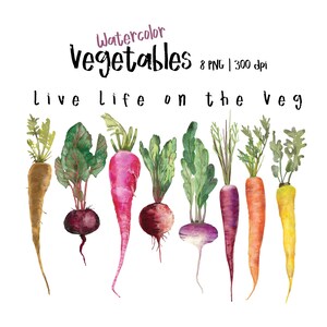 Vegetables Life Watercolor Cliparts, Veggies watercolor, Vegetable Clip Art, Organic, Culinary Clipart, Kitchen Wall Art, Digital Download