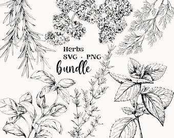 Herb SVG, Culinary Herbs Vector, Herb Clipart, Hand Drawn, Food Clipart, Herbs PNG, Rosemary, Thyme, Plants, Herb Svg Bundle, Herbal Garden
