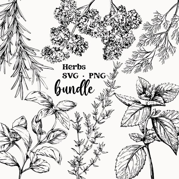 Herb SVG, Culinary Herbs Vector, Herb Clipart, Hand Drawn, Food Clipart, Herbs PNG, Rosemary, Thyme, Plants, Herb Svg Bundle, Herbal Garden