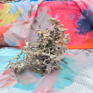 Billon Anthill Sculpture, “Cliffhanger” Casting