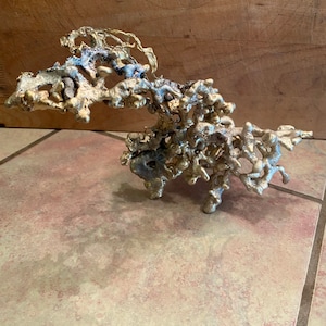 2lb Silver Ant Hill Casting, “Nessie” Sculpture