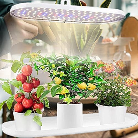 Indoor Garden Led Grow Lightherb Seeds Kitchen Garden Grow Etsy