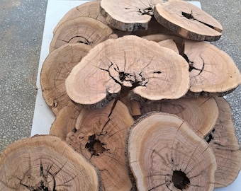Raw Olive Wood Slice: Live Edge Lumber, DIY Woodworking (16-19 inch)