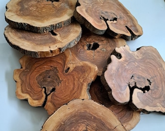 Raw Olive Wood Slice: Live Edge Lumber (19-23 inch)