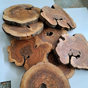 Raw Olive Wood Slice: Live Edge Lumber (19-23 inch)