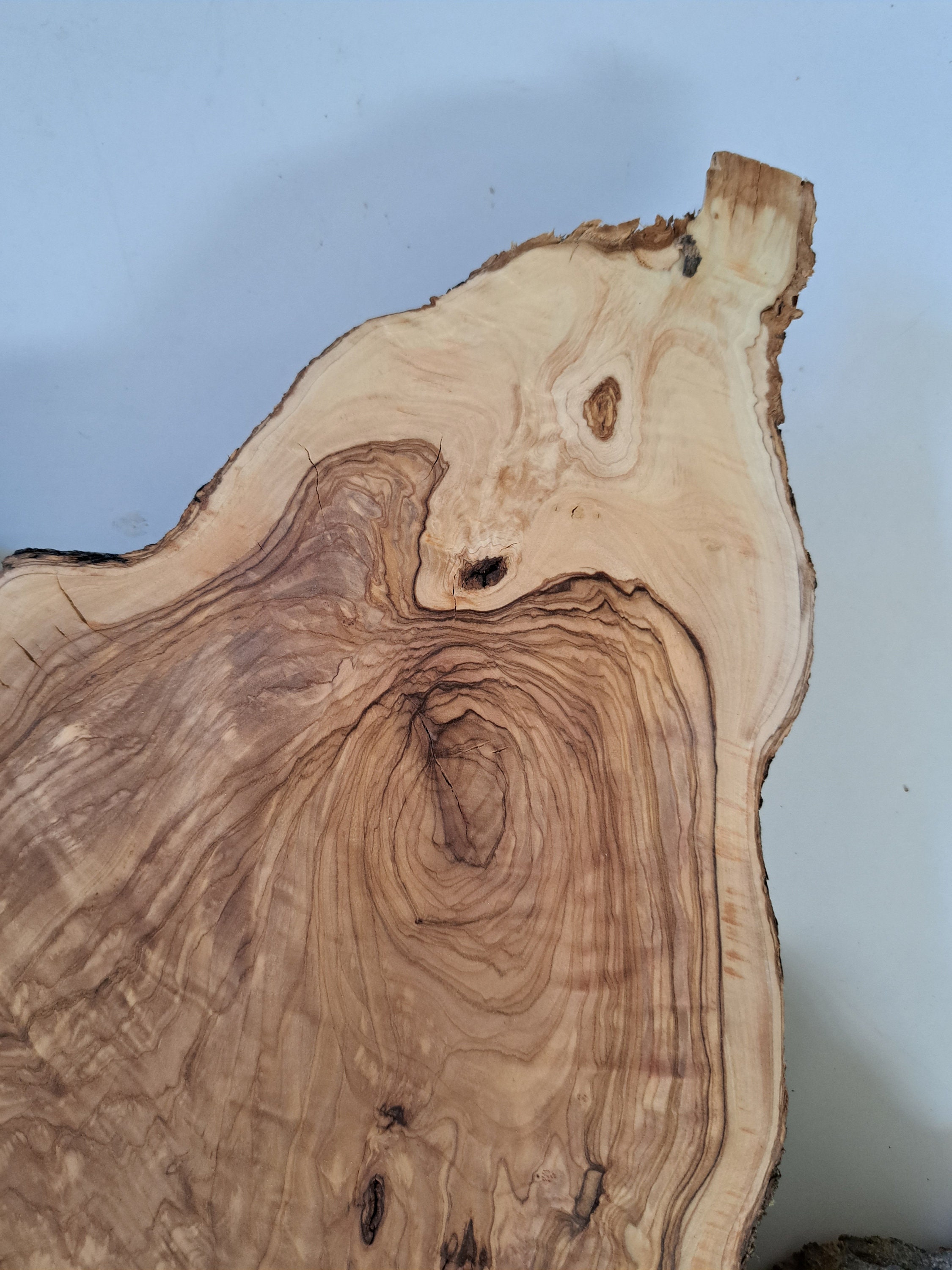 26 Olive Live Edge Wood Slab Live Edge Olive Burl Hole Wood Slice Huge