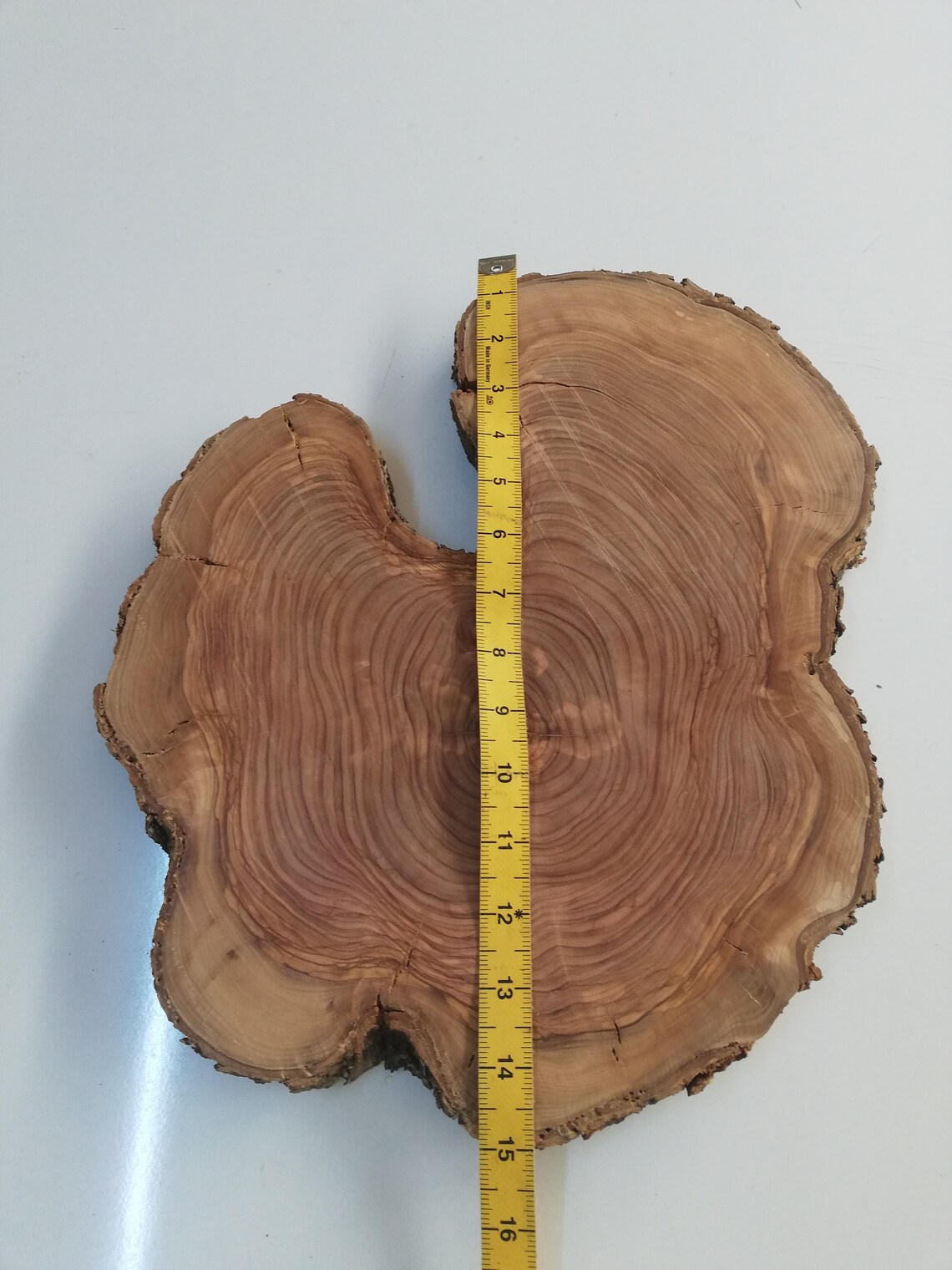 Olive Wood Log Slice Live Edge Naturel Round Olive Cookie Slab Etsy