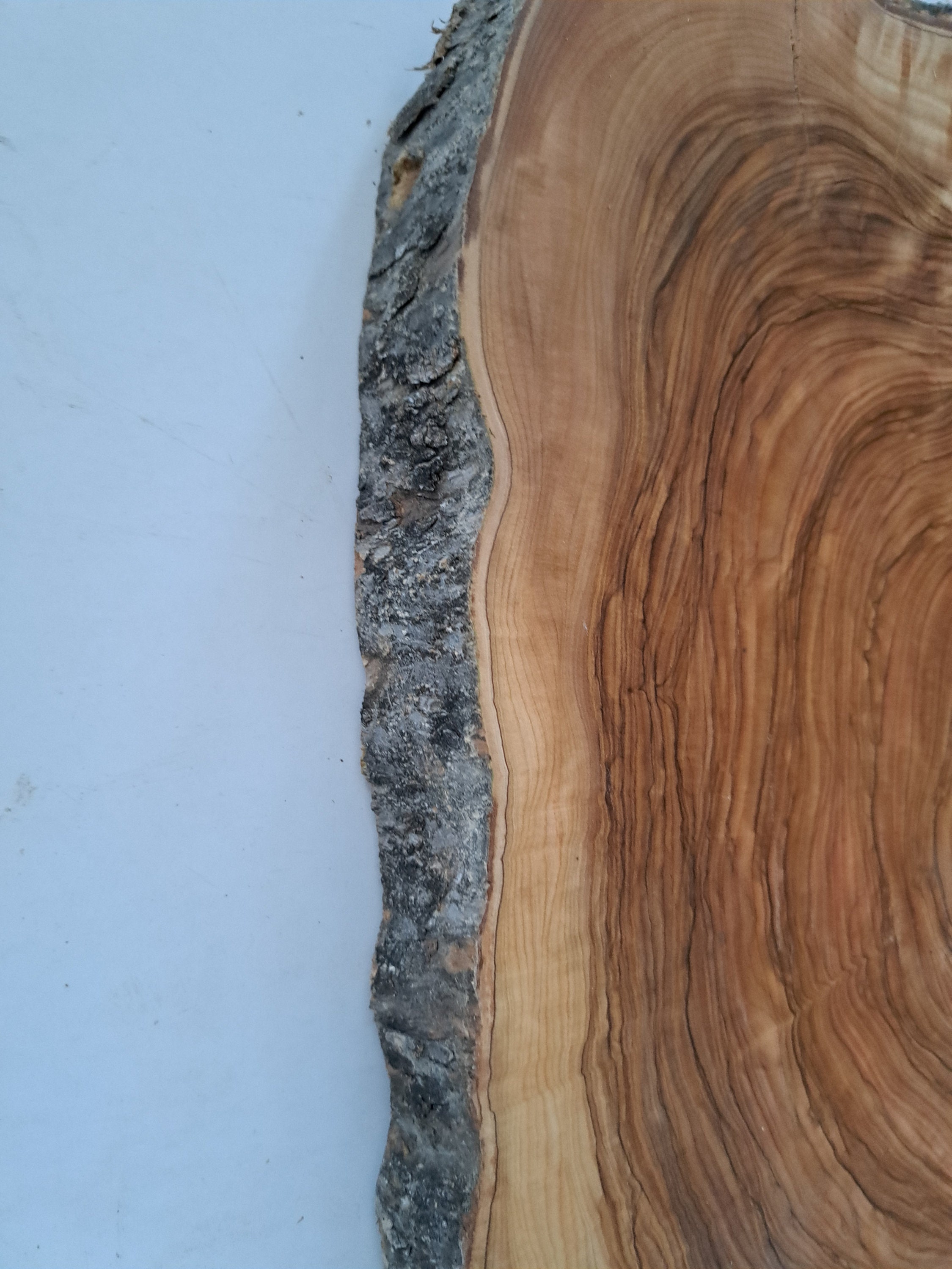 19 Olive Live Edge Slab Live Edge Wood Olive Burl Hole Wood Slice Huge