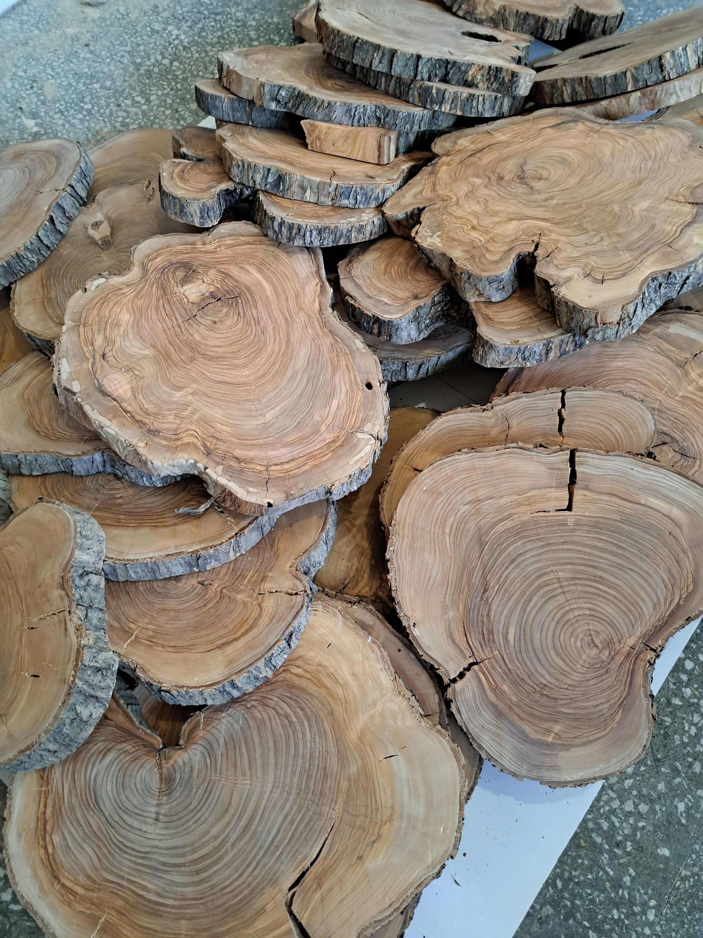 Raw Olive Wood Slice: Live Edge Lumber Cookie (10-14 inch)