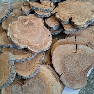 Raw Olive Wood Slice: Live Edge Lumber Cookie (10-14 inch)
