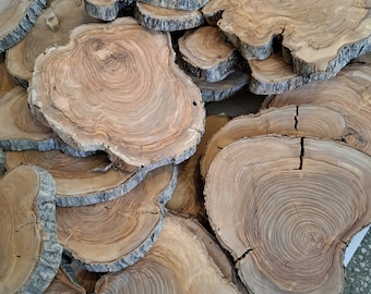Raw Olive Wood Slice: Live Edge Lumber Cookie (10-14 inch)