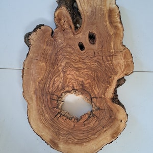 Unique Olive Live Edge Wood Slab live edge Olive burl Hole wood slice huge Wood Cookie Round Unfinished Raw Live Edge Wood Sanded Varnished image 10