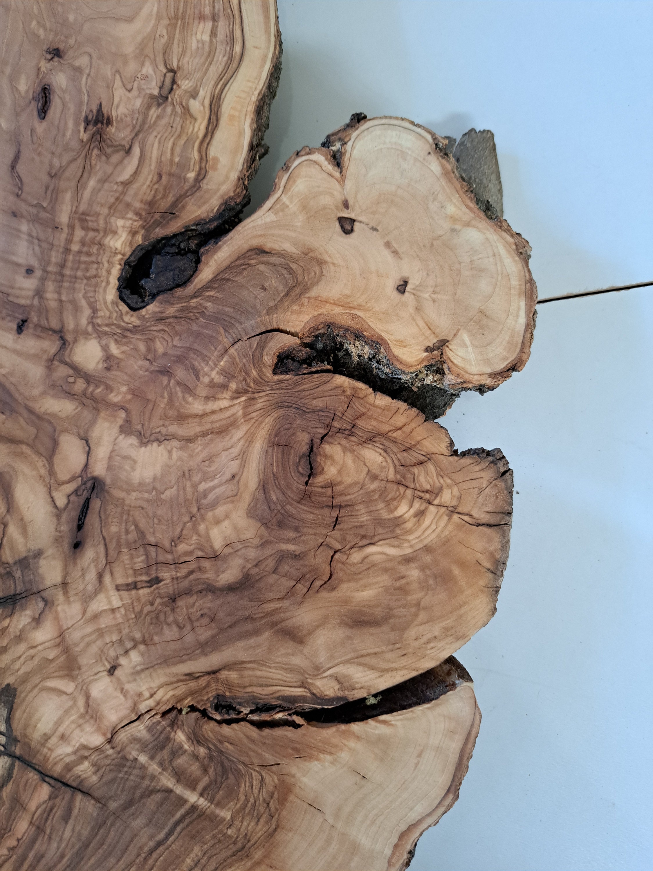26 Olive Live Edge Wood Slab Live Edge Olive Burl Hole Wood Slice Huge