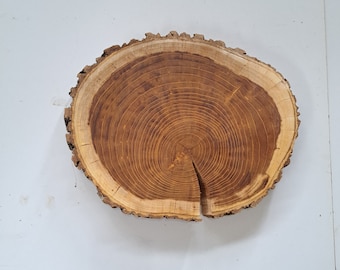 Mulberry Wood Log Slice Live Edge Cookie Naturel Round Tree Log Slab Sanded Diameter15"(39cm) Thickness1.5"(3.8cm)Dinner Plate CuttingBoard