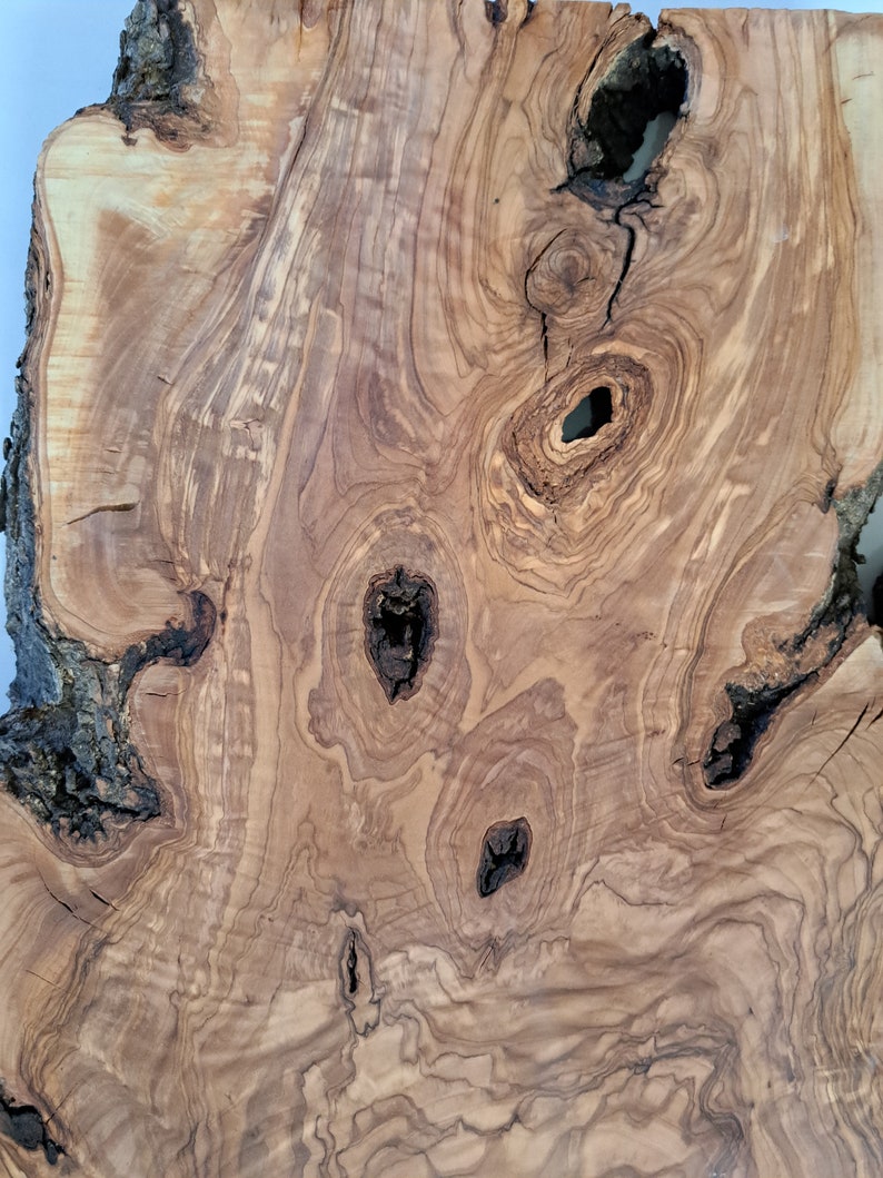 Unique Olive Live Edge Wood Slab live edge Olive burl Hole wood slice huge Wood Cookie Round Unfinished Raw Live Edge Wood Sanded Varnished image 3