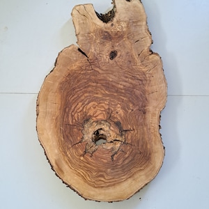 29&quot; Varnished Olive Wood Slab: Live Edge Wood Cookie with Hole