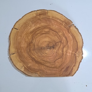 14&quot; Olive Wood Slice: Varnished Live Edge Slab, DIY Decor
