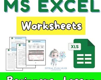The Basics of Microsoft Excel for Beginners Worksheets Activity Spreadsheet