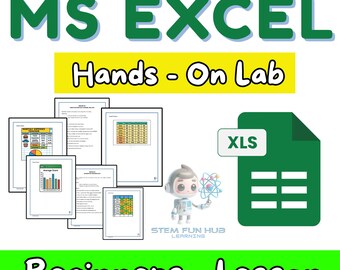 Basics of Microsoft Excel for Beginners 15 Lab Activities Hands On