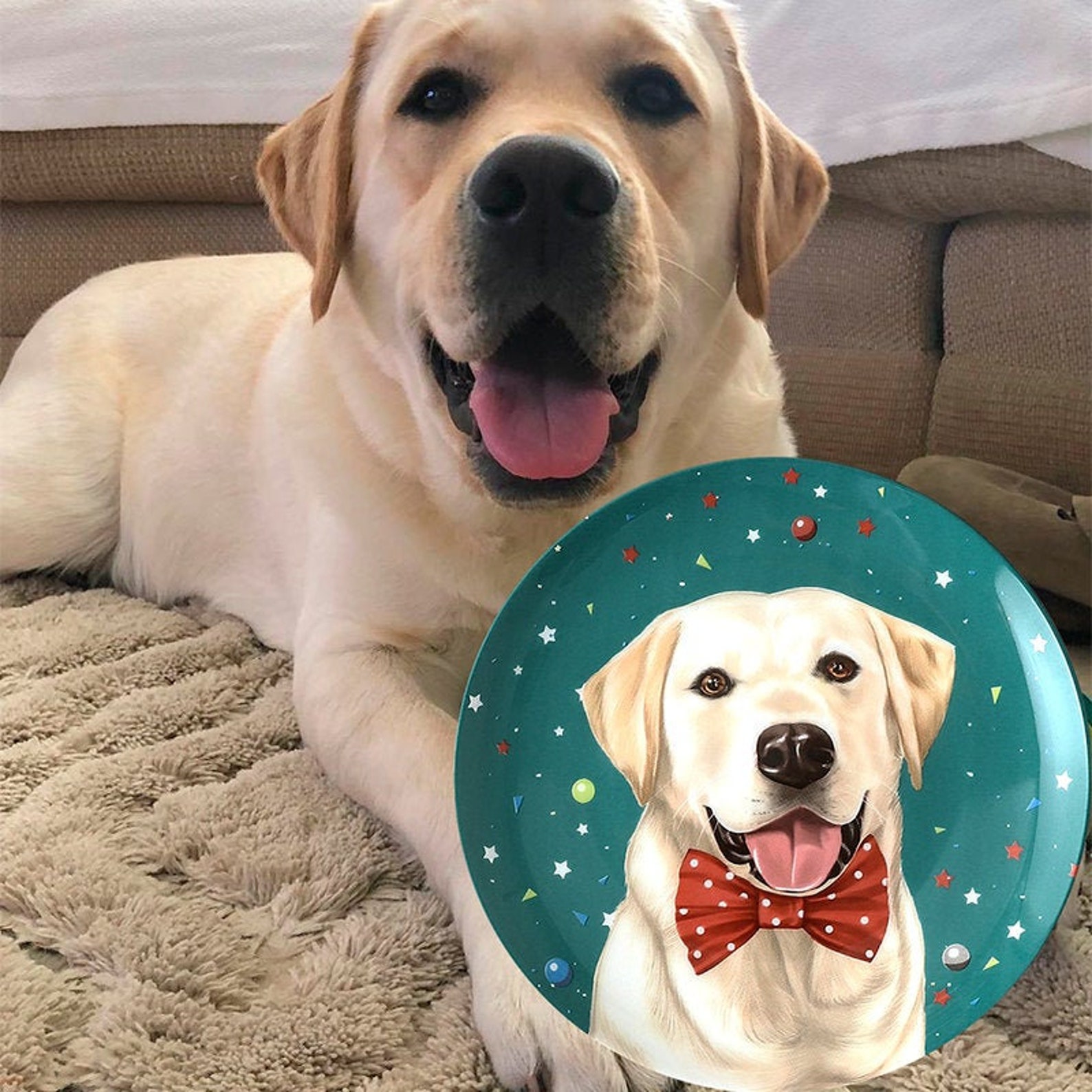 Labrador Plates/ ceramic plates/ Dog Plates/ Dog Dish/ Drawing Etsy