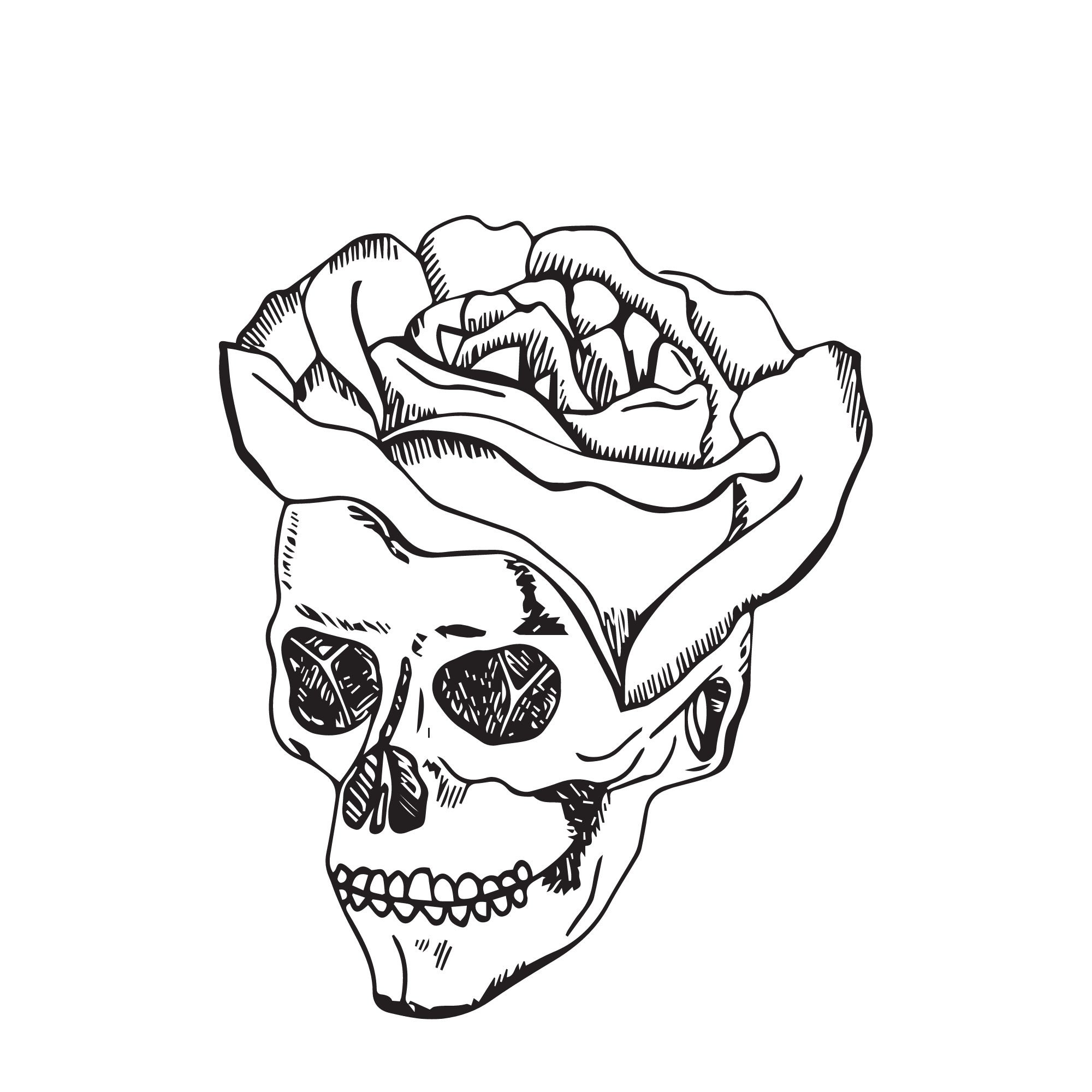 Skull adult coloring book 15 pages | Etsy