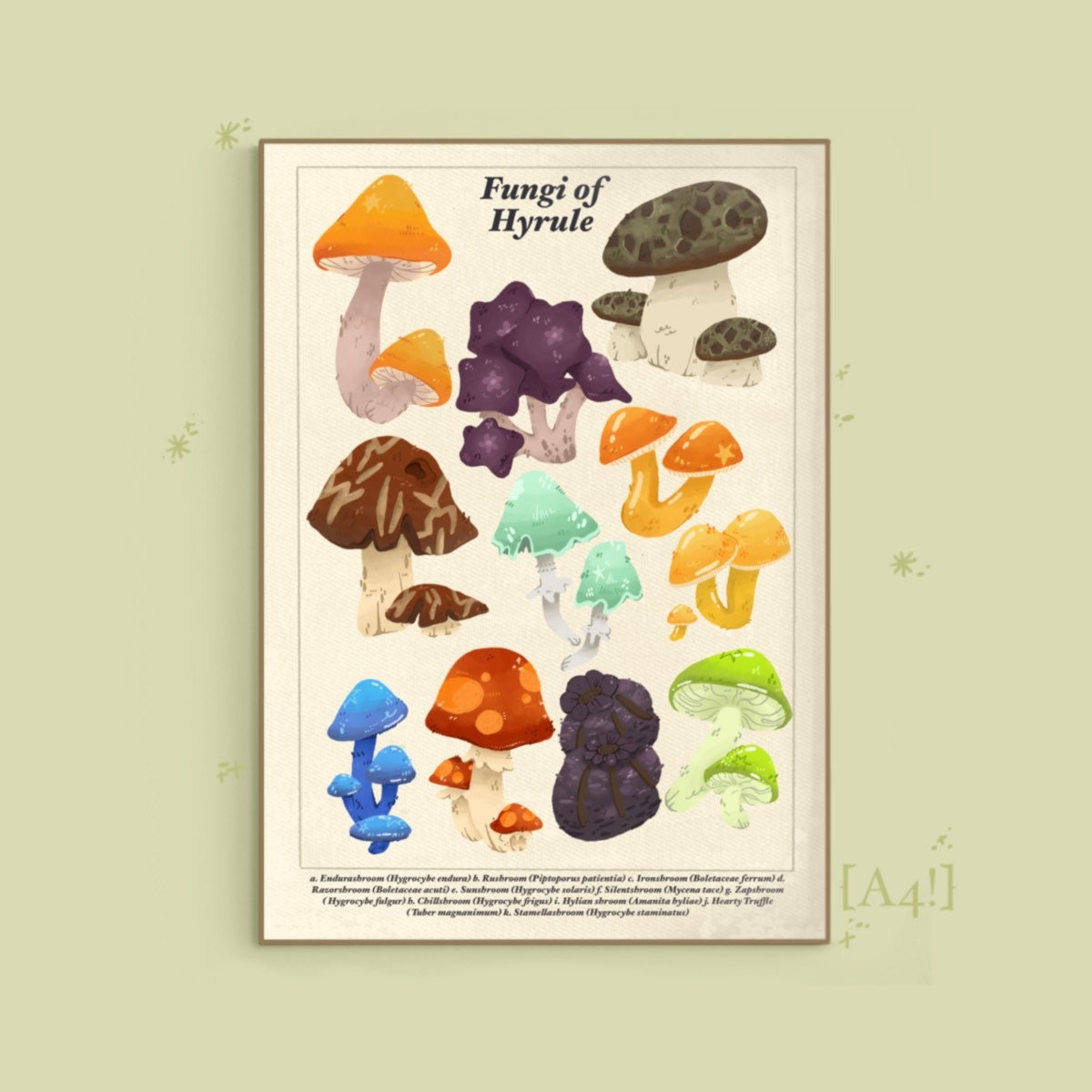 Zelda BOTW Fungi Mushrooms of Hyrule Print Biological Etsy UK