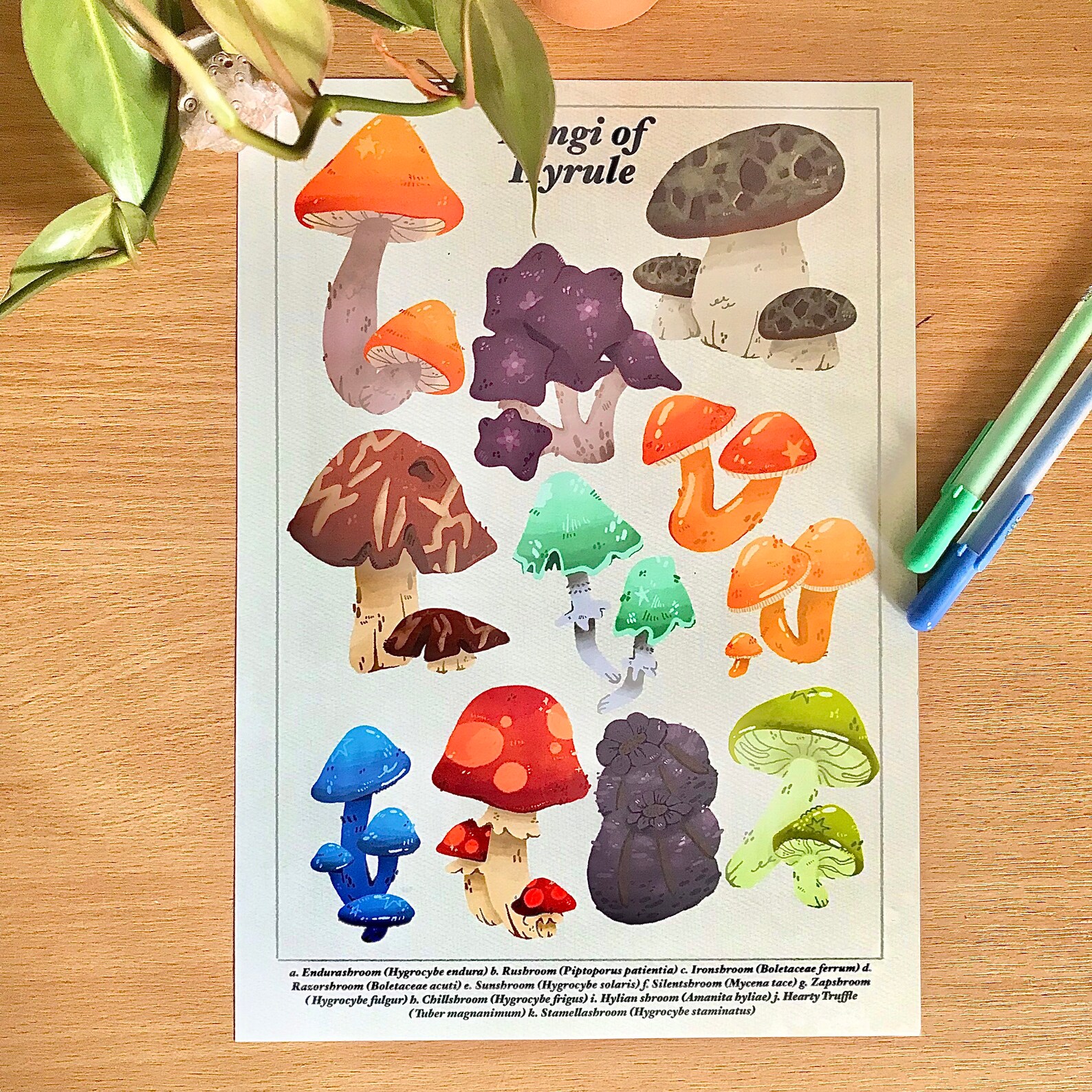 Zelda BOTW Fungi Mushrooms of Hyrule Print Biological Etsy