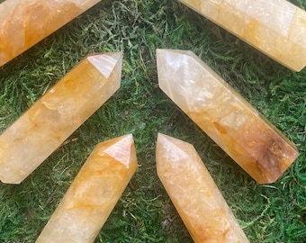 May include: Six golden-yellow citrine crystal points arranged on a bed of green moss. The crystals are polished with a faceted tip and vary in color from pale yellow to amber. The crystals are approximately 4-6 inches in length.
