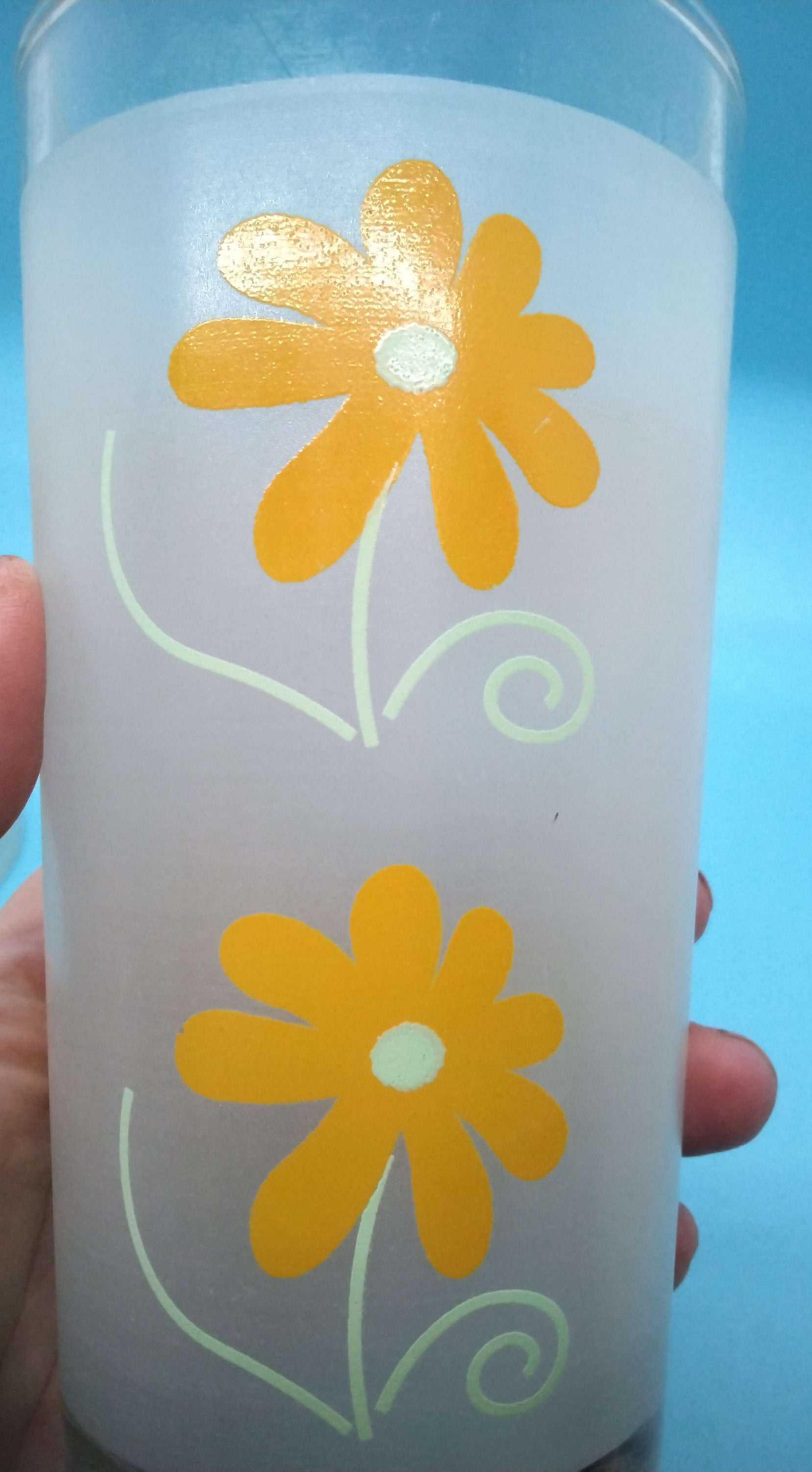 100 psi rated glass drinking bottle Purifyou Glass Water Bottles