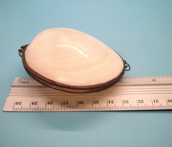 Trinket Box, Shell, Sea Shell, Real Clam Shell, P… - image 10