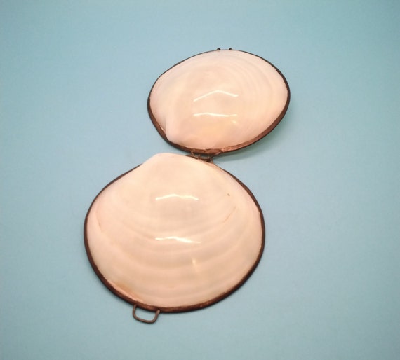 Trinket Box, Shell, Sea Shell, Real Clam Shell, P… - image 5