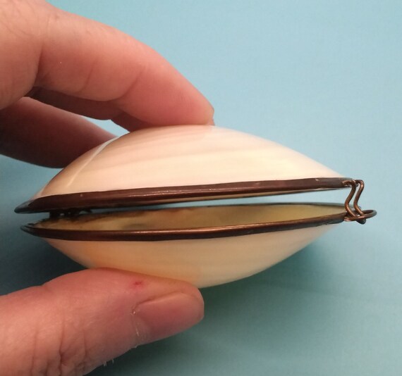 Trinket Box, Shell, Sea Shell, Real Clam Shell, P… - image 8
