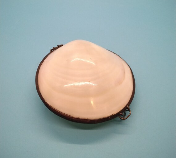 Trinket Box, Shell, Sea Shell, Real Clam Shell, P… - image 3