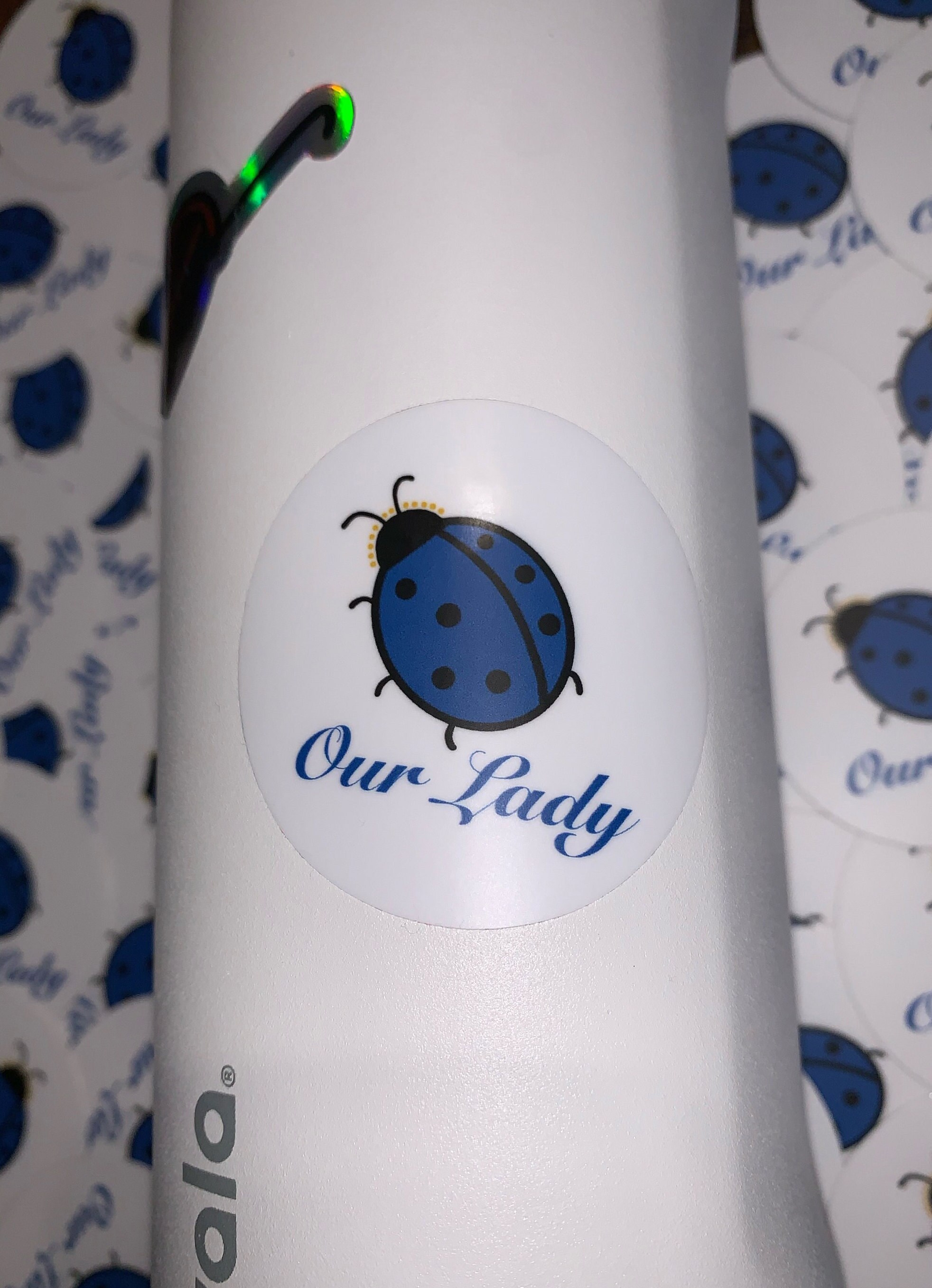 Our Lady - Ladybug Sticker - Etsy