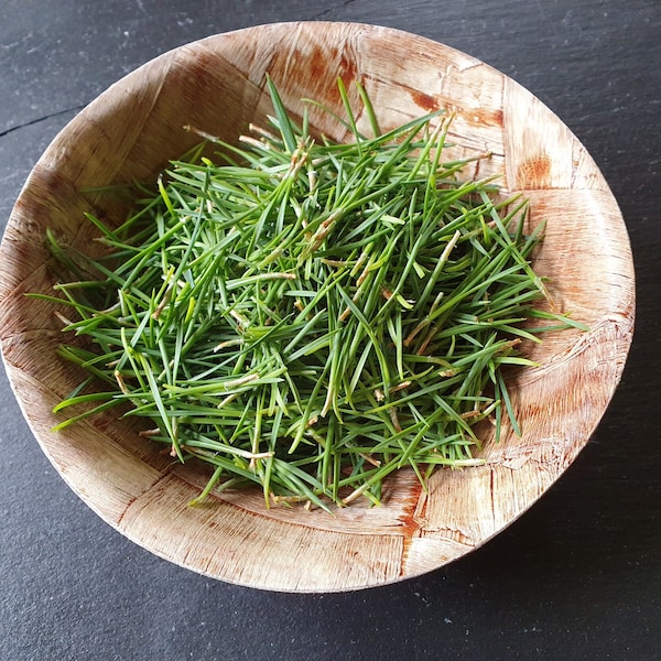 Dennennaalden, Kiefernnadeln, Tannennadeln für tee, Pine needles for tea, Kiefernnadelntee