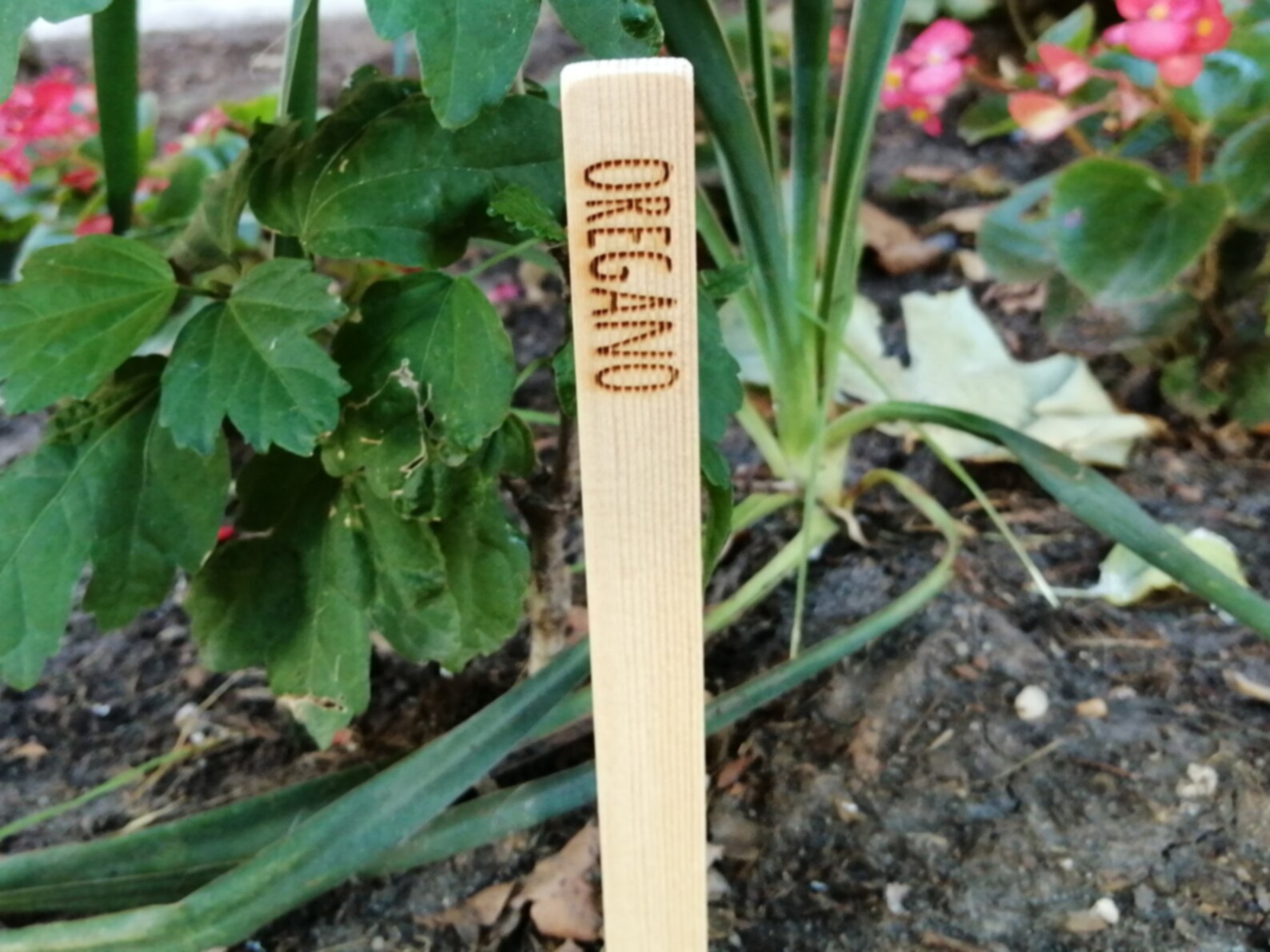 Garden Stakes Personalized Wooden Garden Marker Etsy