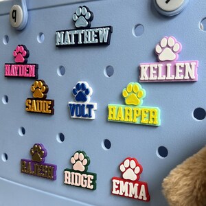 May include: A blue pegboard with colorful paw print name tags. The names include Hayden, Sadie, Volt, Harper, Rajesh, Ridge, Emma, Matthew, and Kellen.