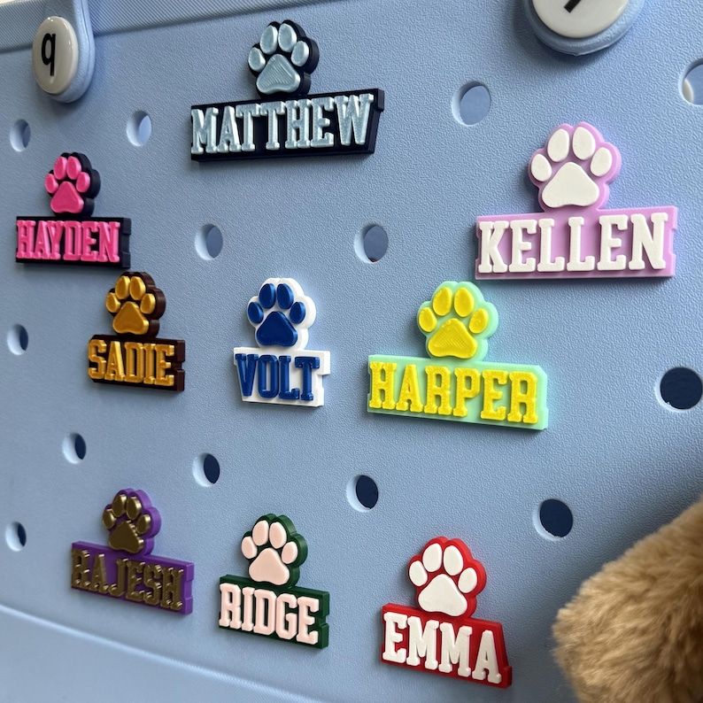 May include: A blue pegboard with colorful paw print name tags. The names include Hayden, Sadie, Volt, Harper, Rajesh, Ridge, Emma, Matthew, and Kellen.