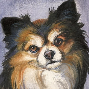Watercolor Pet Portrait - Custom HAND PAINTED. Sizes from 5x7 inches to 22x30 inches