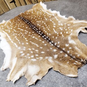 Premium Axis Deer Hide | Axis Deer Rug  | Axis Deer Throw | Axis Deer Pelt