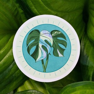 Painted Monstera Sticker Monstera Deliciosa Variegated Monstera Leaves Plant Illustration Digital Art Sticker image 1