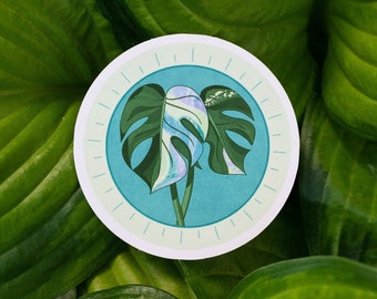 Painted Monstera Sticker | Monstera Deliciosa Variegated | Monstera Leaves | Plant Illustration | Digital Art Sticker