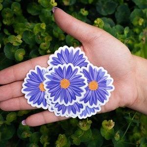 6er Pack Illustrierte Mini Gänseblümchen Aufkleber | Gänseblümchen Aufkleber | Gänseblümchen Sticker | Niedliche Gänseblümchen-Aufkleber | Gänseblümchen Aufkleber | Blumen Sticker Set