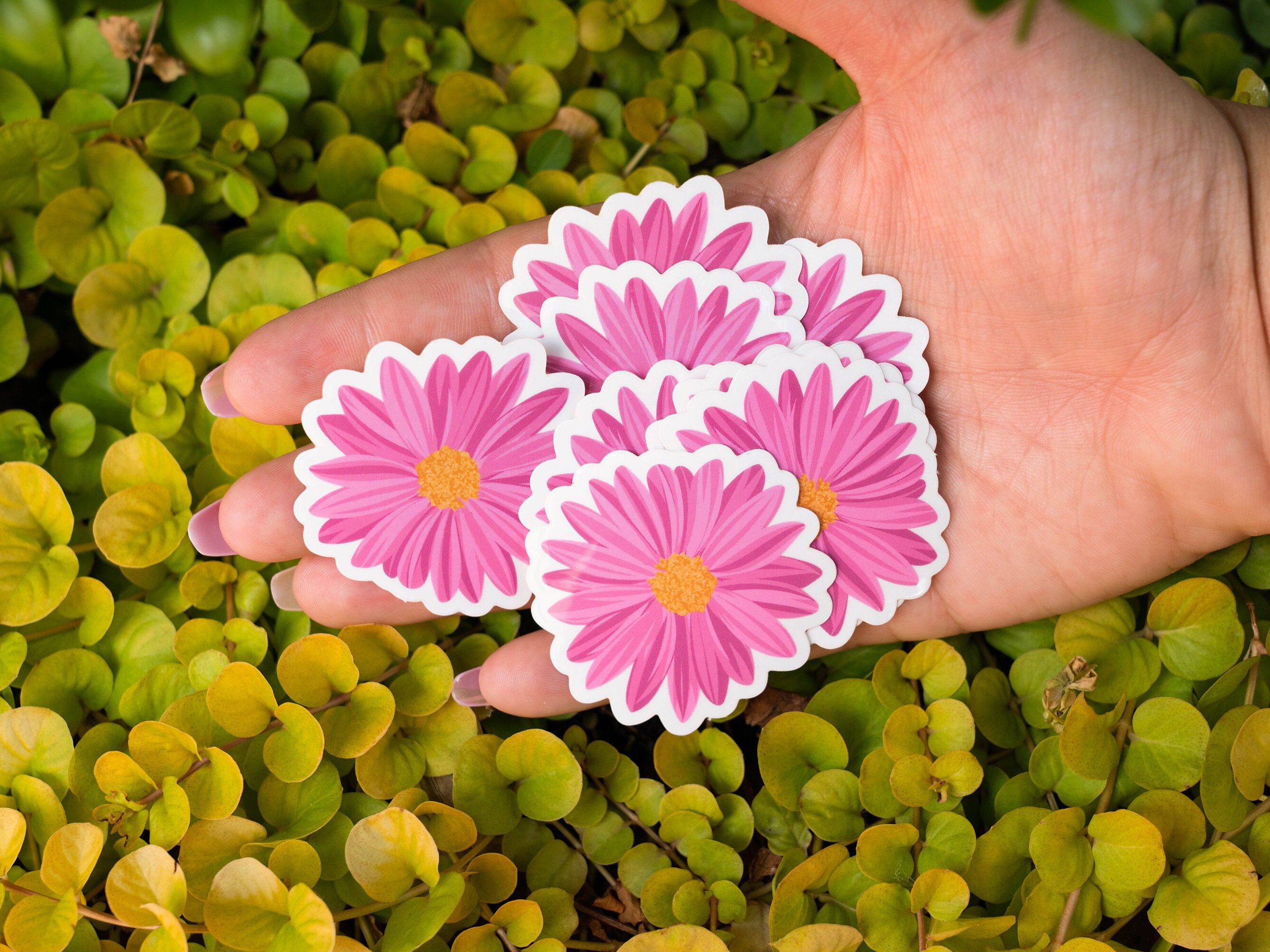 Flower Daisy Mini Small Stickers - Brooke LeAnne