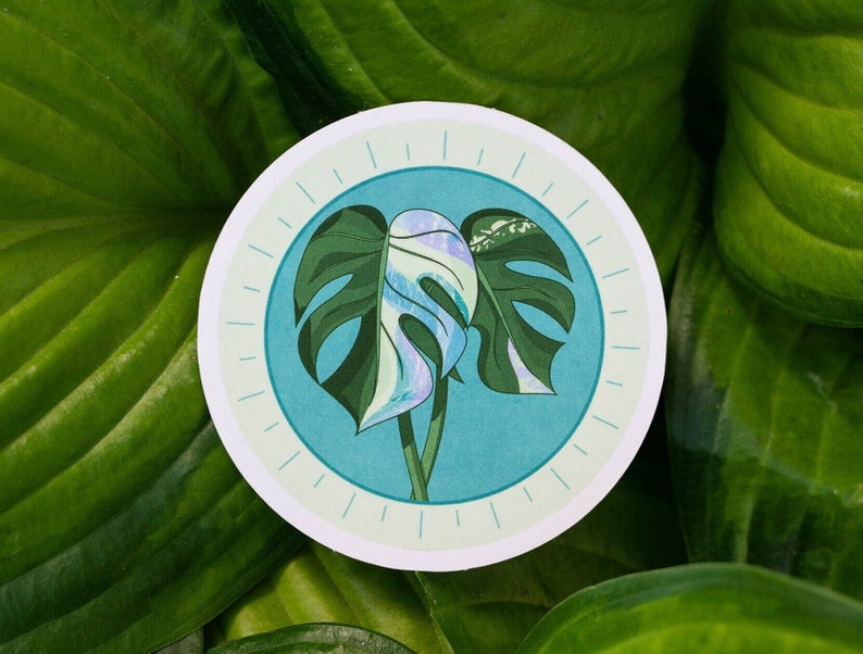 Painted Monstera Sticker Monstera Deliciosa Variegated Monstera Leaves Plant Illustration Digital Art Sticker image 1