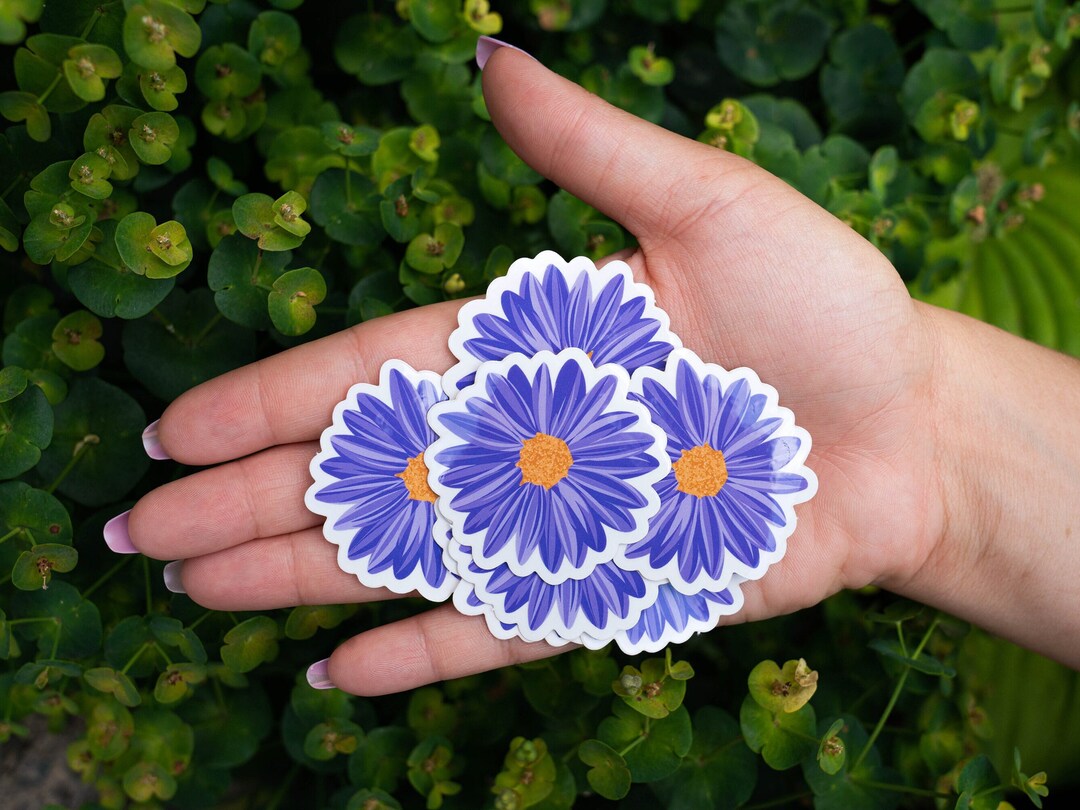 6 Pack Illustrated Mini Daisy Stickers Daisy Stickers Wild Daisy